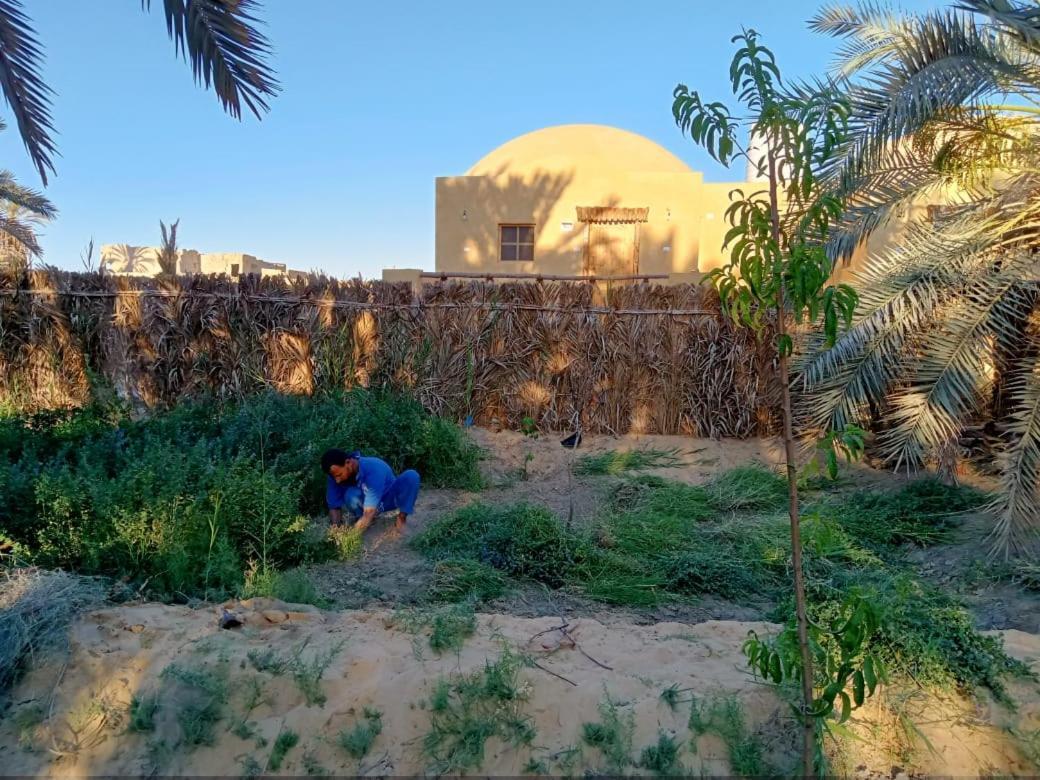 Villa Wafla Siwa Oasis Exterior foto