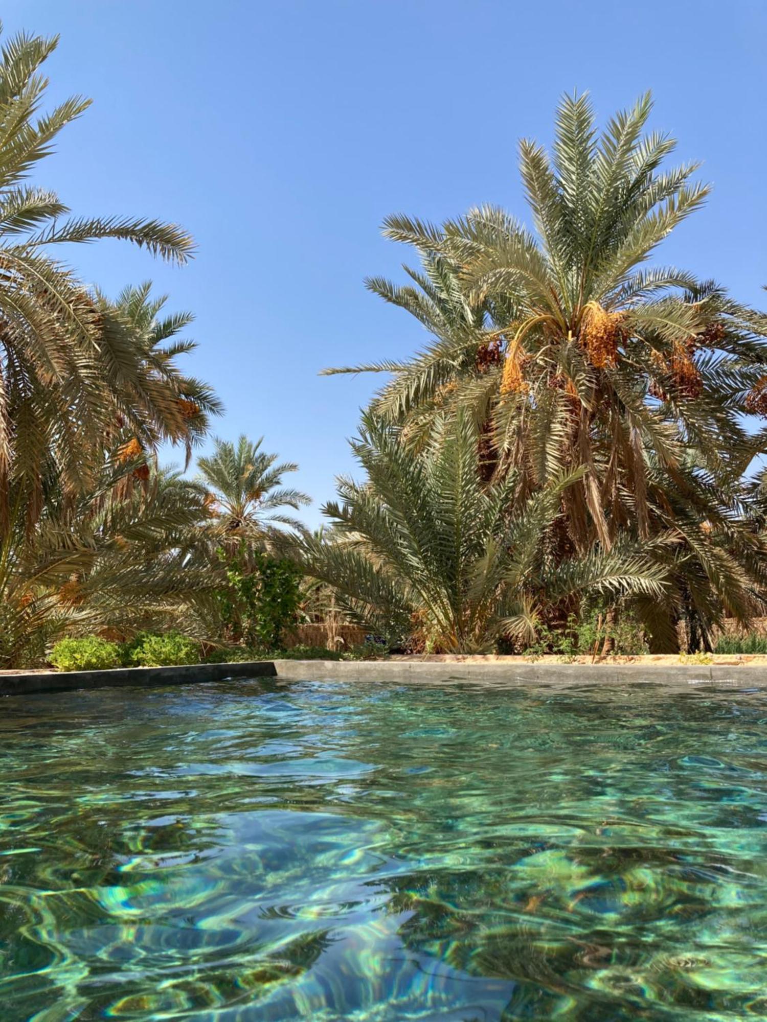 Villa Wafla Siwa Oasis Exterior foto
