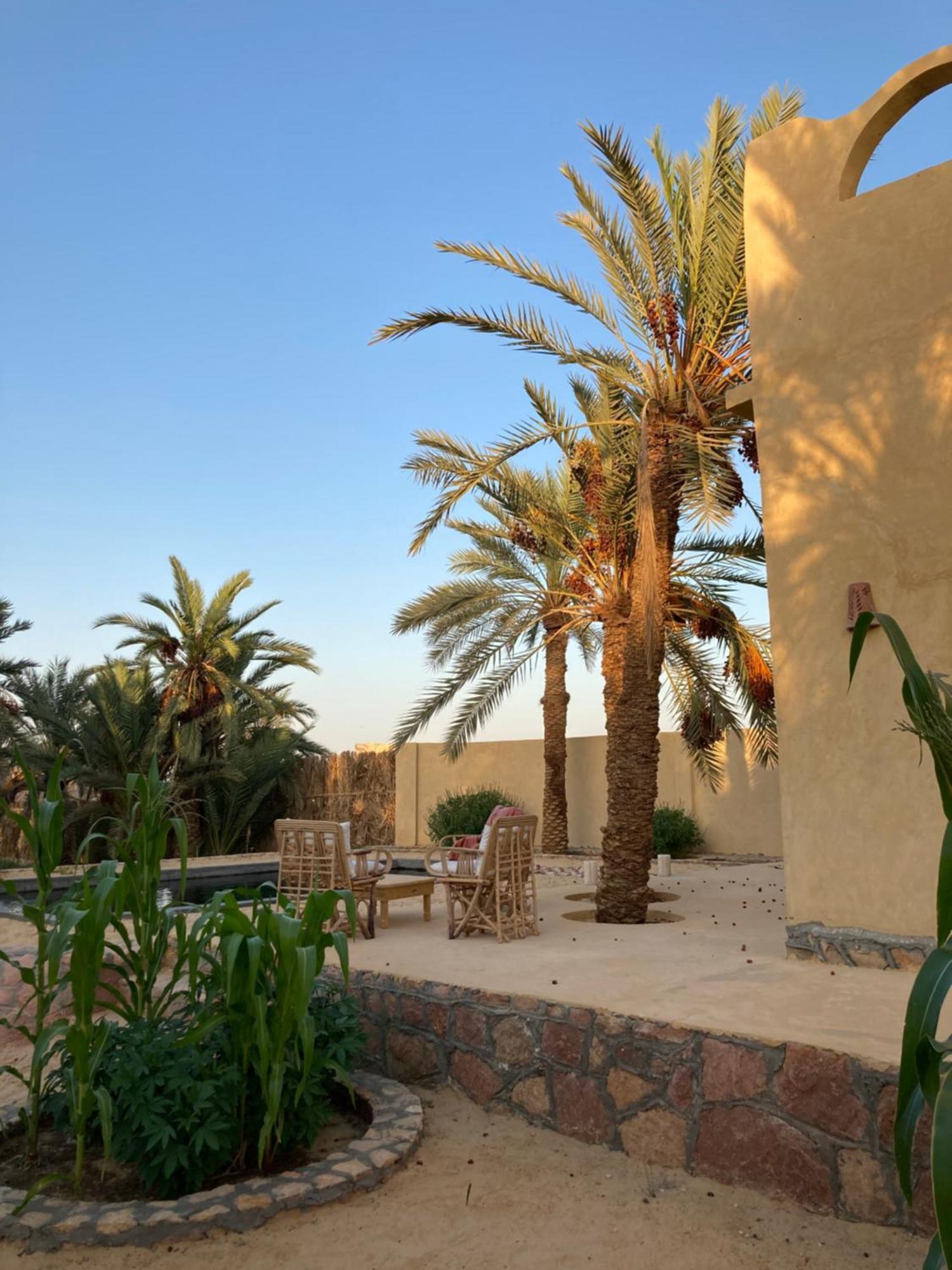 Villa Wafla Siwa Oasis Exterior foto